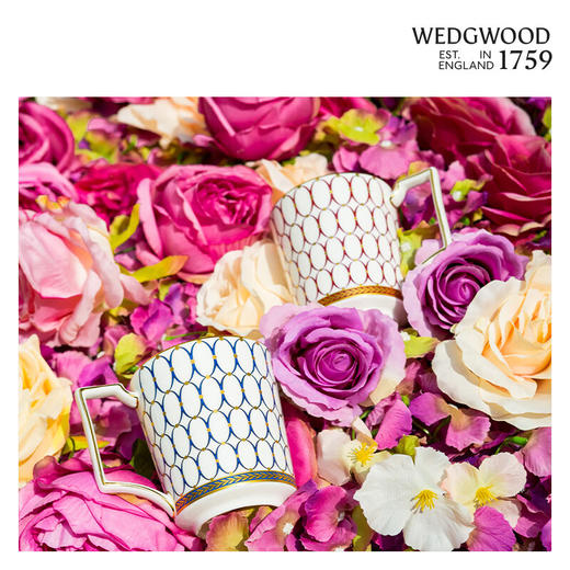 WEDGWOOD马克杯礼盒300ml*2 商品图4