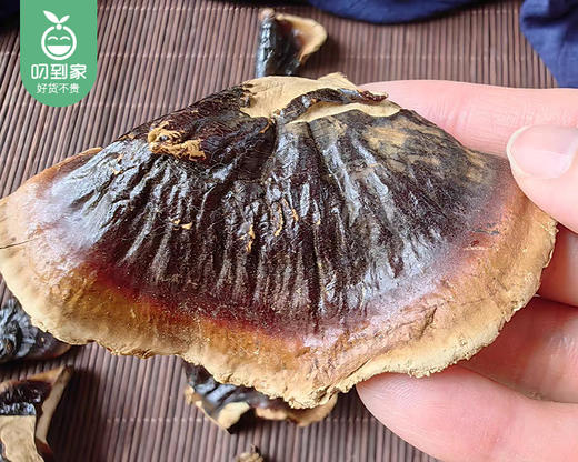 【预售-4月8日配送】长白山金边大灵芝/1包（13-17朵，共约250g）生产日期：2月 商品图1