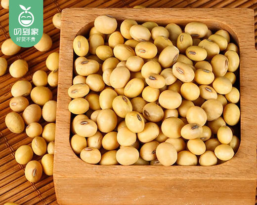 袁蒙草原土黄豆/1份（420g*2包）生产日期：25年11月补单专用 商品图1