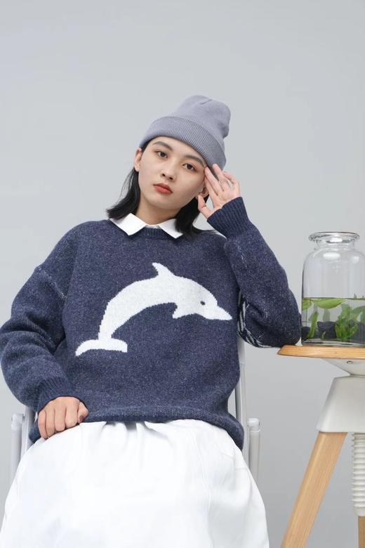 HAYES 海豚图案针织上衣 10860 商品图4