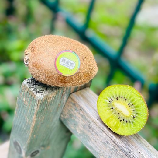 🌹蜂蜜熊•金福猕猴桃礼盒🥝入口即化的口感，在国产猕猴桃里名列前茅皮薄肉厚汁多，一口下去，满口香甜热量低，吃再多也不会胖♥️😍每天两颗和家人一起补充维C~ 商品图3