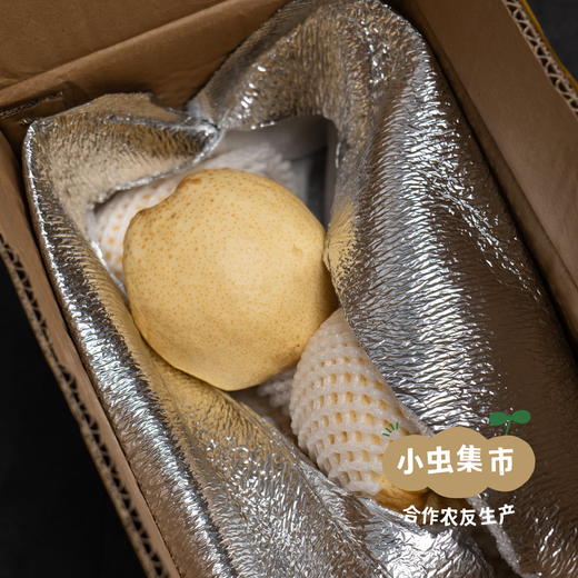 太行山有机酥梨 5斤 | 合作农友生产，产自山西黎城，生产者：张韶明 *【公平贸易农人定价】 商品图6