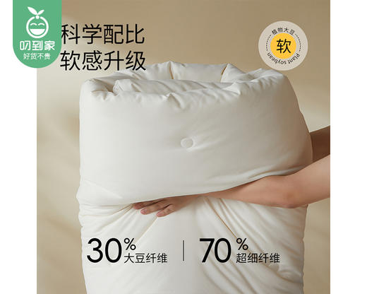 【预售-12月29日配送】佳丽斯60支全棉植物大豆被（暖冬被）/1件（220*240cm，总重约3.5kg） 商品图2