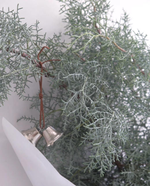 【叶材】银松（雪花松 )扎 商品图2