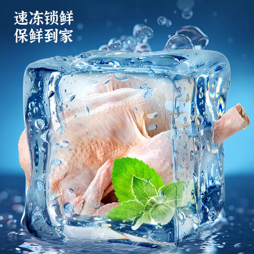 黄陂山林农家散养老母鸡土鸡 现杀速冻锁鲜 京东快递 新鲜到家TYNY 商品图2