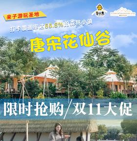 【双11大促·限时抢购】￥698元入住长泰唐宋花仙谷「丛林花舍客房」入住1间夜，2人份自助早餐+夜间甜汤+奇趣谷大门票+游玩套餐~绝美溜娃圣地！周末度假攻略！