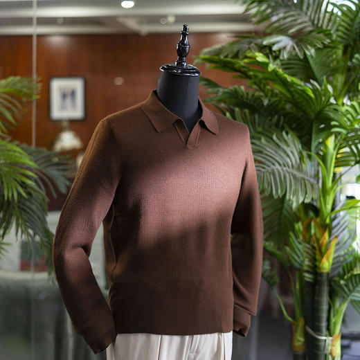 24新款秋冬男士山羊绒/羊毛/桑蚕丝混纺 针织毛衣 多款多色可选 商品图0