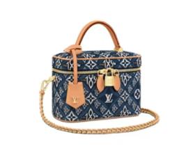 LOUIS VUITTON Vanity Since 1854 皮革 手袋化妆包手提包小号女款 蓝色