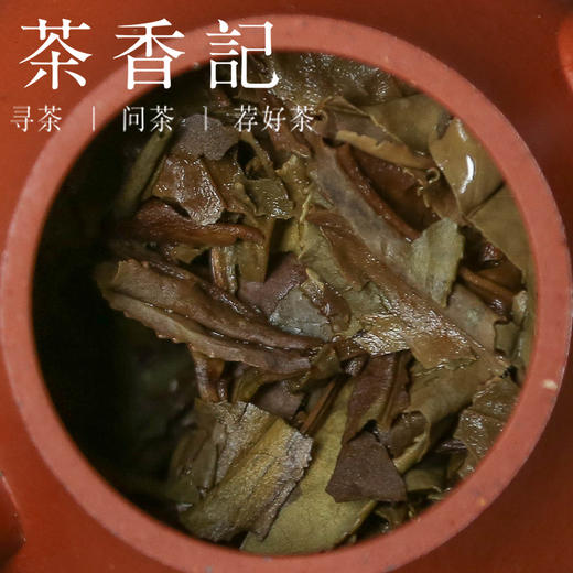 茶香记 果酱高山寿眉020饼 白茶 熟果香 半荒野 高山茶园 花蜜香 枣香  浓醇顺滑 商品图4