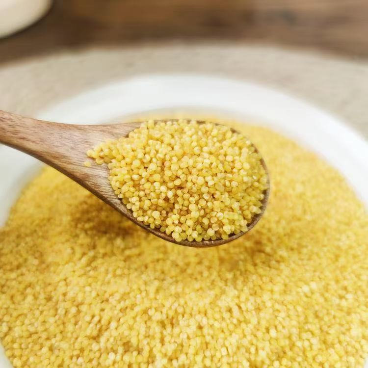 热卖【农家黄小米】 陕西米脂县农家种植，一年一茬，十月成熟新米，全家人食用的“养生米”，产妇、宝宝、老人、女性都适合吃！