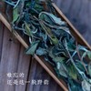 福鼎白茶 【渐喜】2018年太姥山荒野白牡丹（品鉴装） 商品缩略图1