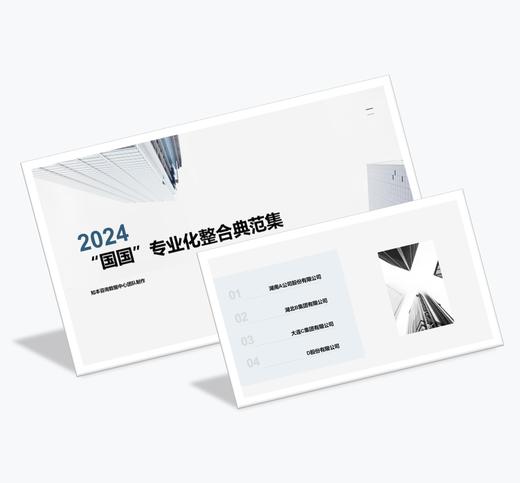 案例研习 | “国国”专业化整合典范集-2024 商品图0