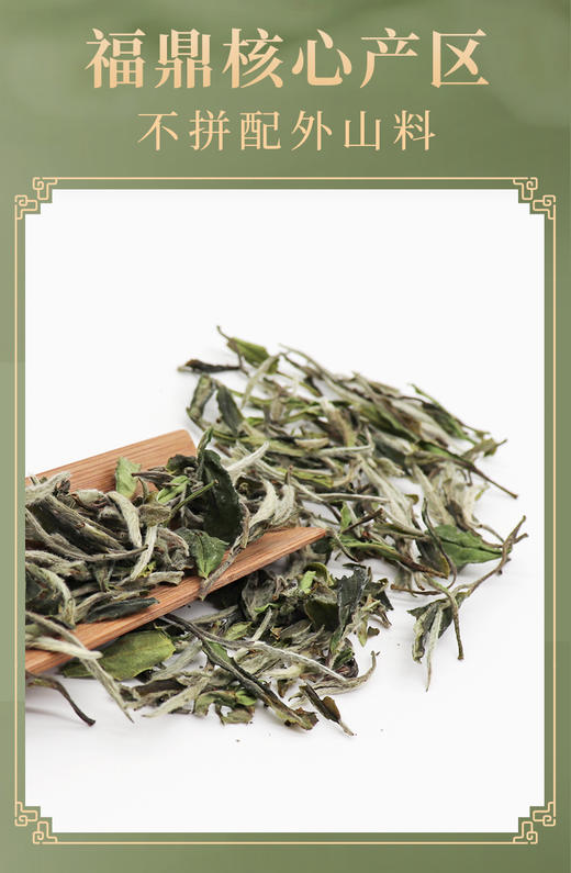 云尖花香 25克 高山白牡丹 商品图4