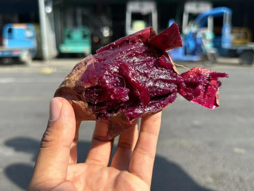 云南玫瑰紫薯 颠覆认知 口感巨好 空气炸锅或者烤箱烤起来 果肉绵软细腻 湿润甜蜜 爱了爱了～ 商品图0