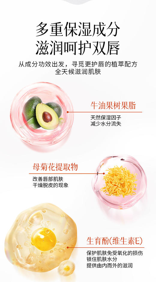 [小滋心选]【活动价￥39.9/3支】DoryThos水润修护唇膜 商品图6