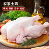 黄陂山林农家散养老母鸡土鸡 现杀速冻锁鲜 京东快递 新鲜到家TYNY 商品缩略图0