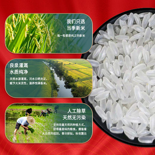 良西农场五常大米（稻花香2号） 商品图3