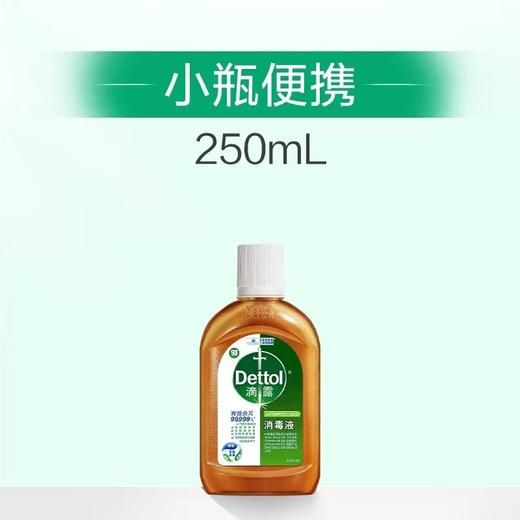 滴露消毒液250ml 商品图6