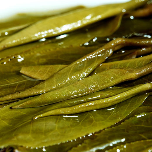 【最后4饼，即将售罄】【黄财神】诸财神之首！2024年春茶云南68座名山拼配普洱茶生茶；愿众生福慧增上 财源广进！1000g/饼 拍5发6 拍20发25 每饼额外赠茶架*1 商品图9