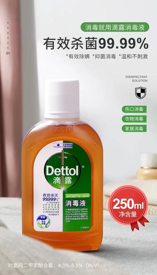 滴露消毒液250ml 商品图0