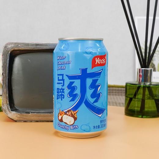 杨协成 马蹄爽荸荠饮料 300ml/厅 商品图4