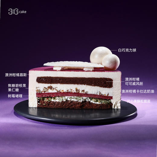 射手座··星云紫，可选8英寸 商品图3