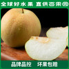 PAGODA百果园 玉露香梨4.5斤家庭装 商品缩略图1