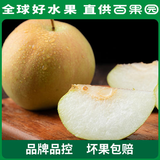 PAGODA百果园 玉露香梨4.5斤家庭装 商品图1
