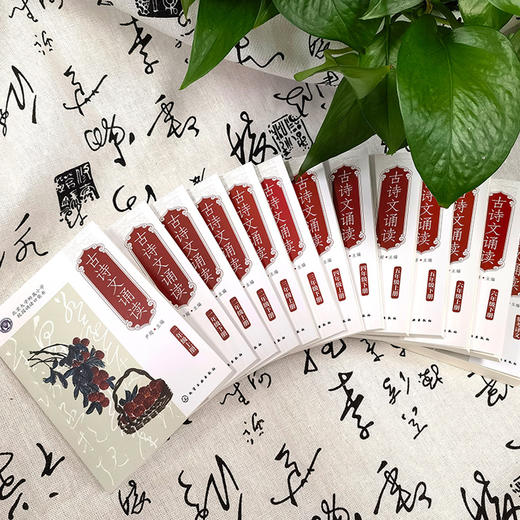 《古诗文诵读》小学1-6年级（全12册） 商品图9