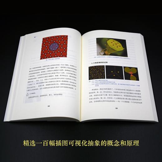 惊艳一击-数理史上的绝妙证明 商品图5