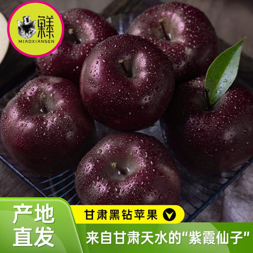 喵菓基地～甘肃天水黑钻苹果（礼盒5-6斤装12枚）全国包邮 商品图6