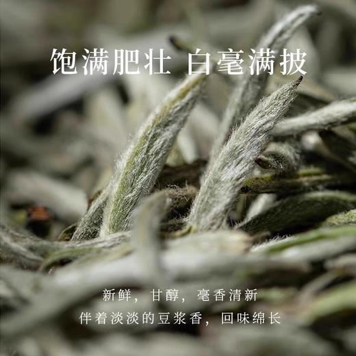 【介意慎拍2025-02-14到期】出口茶-福鼎白茶白毫银针50g/罐散茶 商品图2