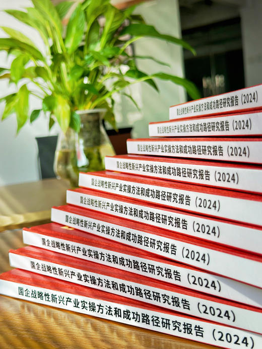 研究报告 《国企战略性新兴产业 实操方法和成功路径研究报告 （2024）》 商品图3