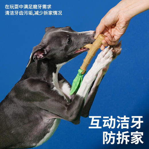 zeze竹子原木磨牙玩具-B （包邮） 商品图1