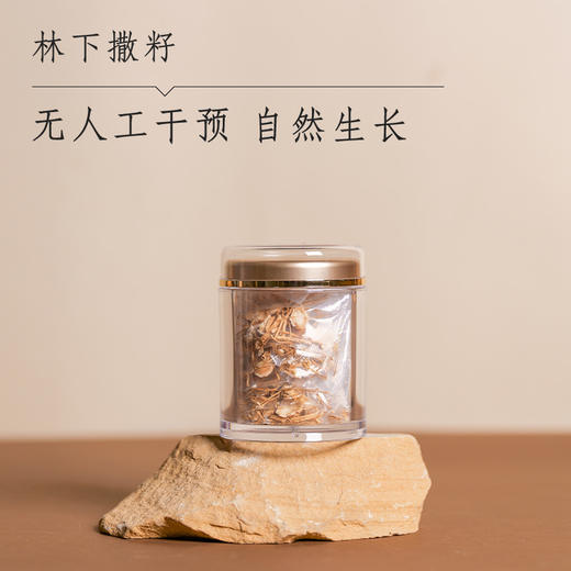 19年林下参 特价 商品图1