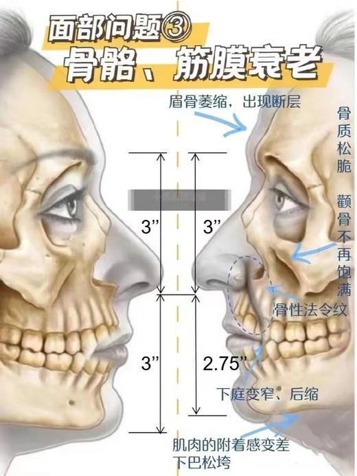 【会员专享】🔥🔥YOKY&露千儿 PQQ多重胶原蛋白肽时光嘭弹饮30ml*8 商品图3