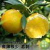 【秒杀】广西皇帝柑5斤大果 果径55-60mm （一斤6-7个） 商品缩略图2