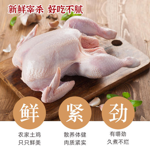 黄陂山林农家散养老母鸡土鸡 现杀速冻锁鲜 京东快递 新鲜到家TYNY 商品图1