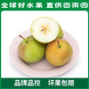 PAGODA百果园 玉露香梨4.5斤家庭装 商品缩略图3