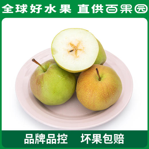 PAGODA百果园 玉露香梨4.5斤家庭装 商品图3