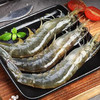【海鲜】鲜活对虾/基围虾 约250g/份 商品缩略图2