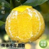 【秒杀】广西皇帝柑5斤大果 果径55-60mm （一斤6-7个） 商品缩略图0