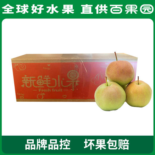 PAGODA百果园 玉露香梨8.5斤家庭装 商品图5