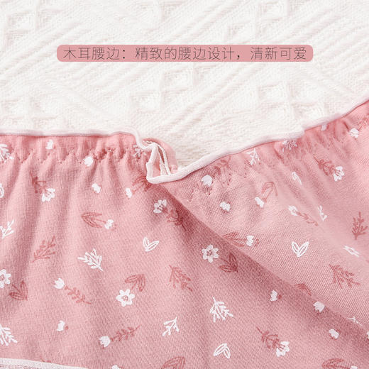 洁丽雅4条装中腰纯棉女士内裤蕾丝花边双层纯棉内裆简约舒适亲肤三角裤女 商品图1