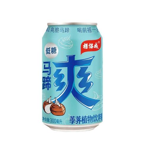 杨协成 马蹄爽荸荠饮料 300ml/厅 商品图0