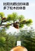 滴露消毒液250ml 商品缩略图5