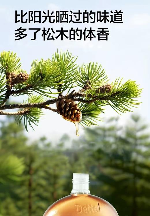 滴露消毒液250ml 商品图5