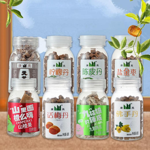 康禹蜜饯小瓶 商品图0
