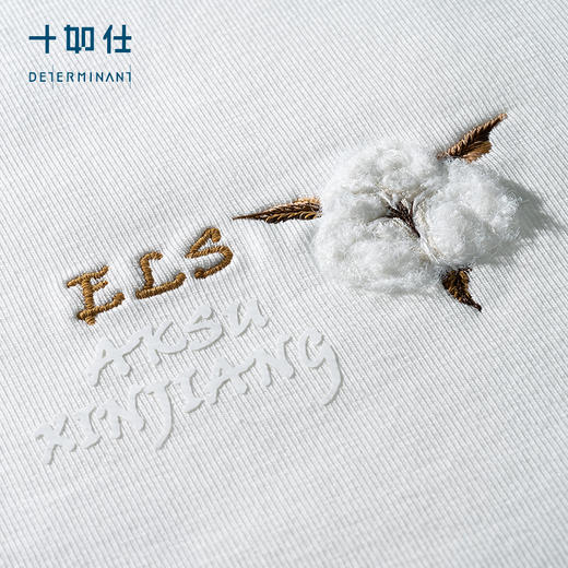 十如仕针织圆领空气棉绣花棉花卫衣-LS05-C1 商品图1