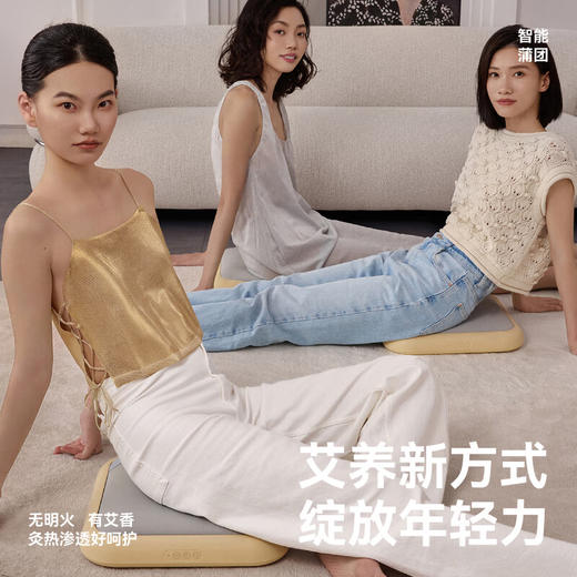 左点智能蒲团ZD-AH0201 商品图4